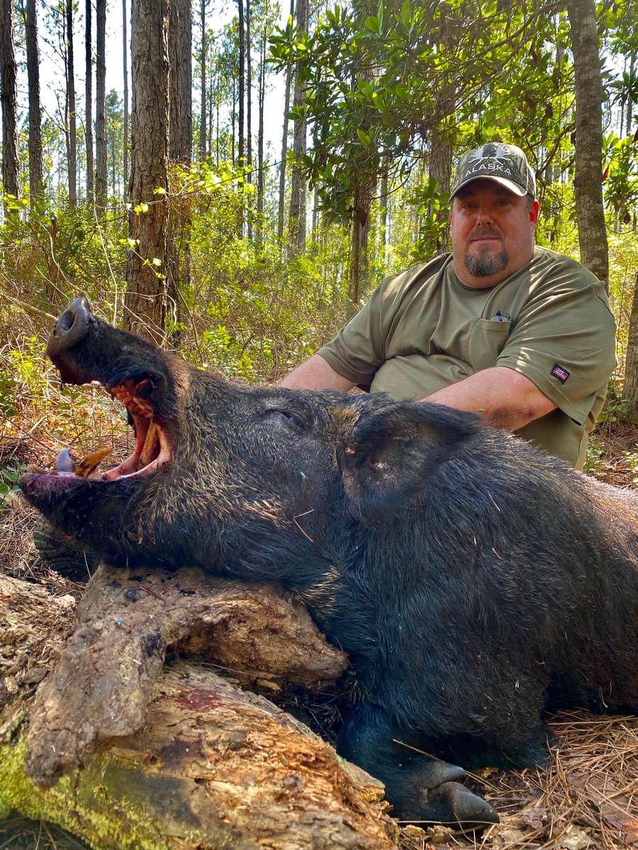 About the Hunt florida boar hunts